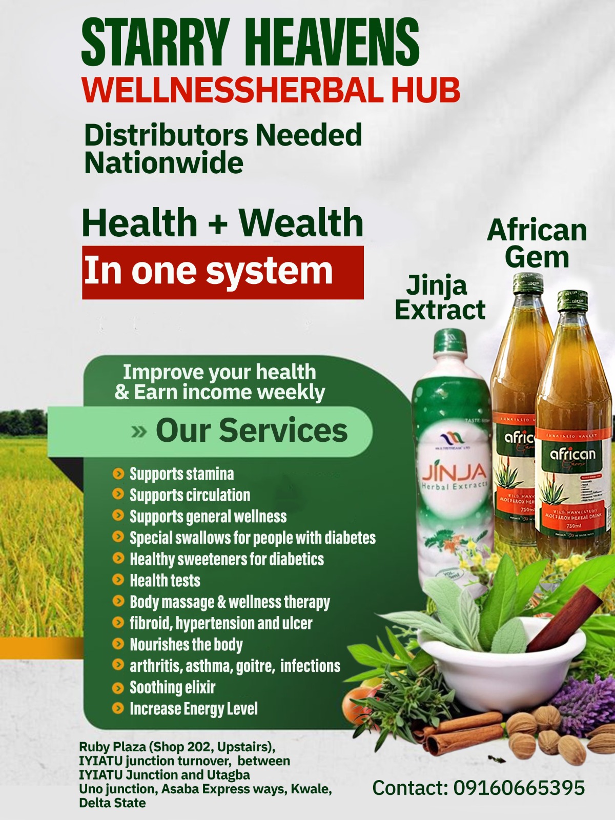 Starry Heavens Wellness Hub Ads