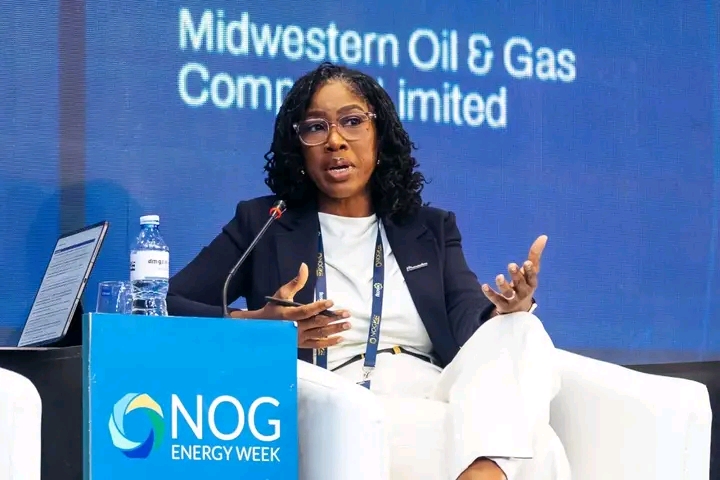 Midwestern Oil & Gas CEO Champions New Investment Drive at NOG Energy Week 2026
