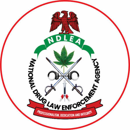 NDLEA Opposes Bail For 10 Defendants In ₦480bn Ogun Meth Lab Case